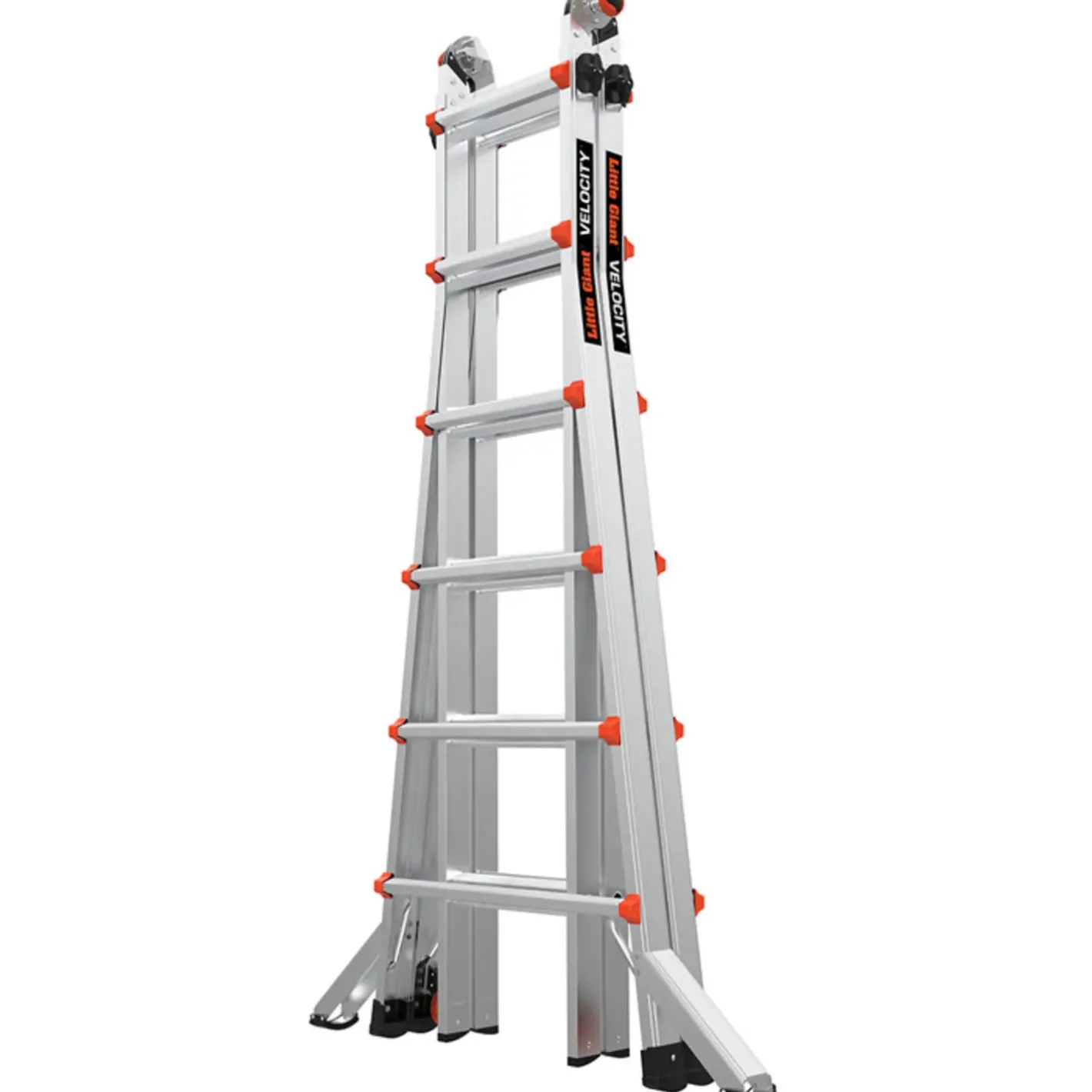 Jumbo giant multistige Classic 6/11-trin* Stiger